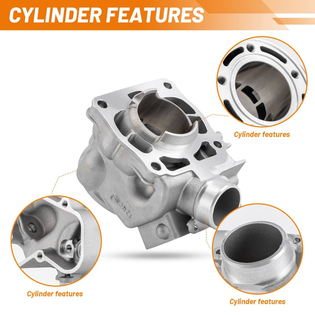 Cylinder features diagram with highlighted cylinder inlet and internal surfaces