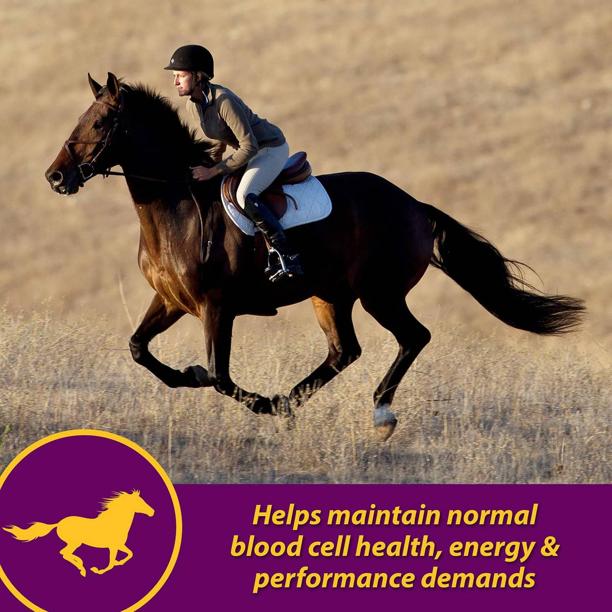 Horse and rider running outdoors on a training track
