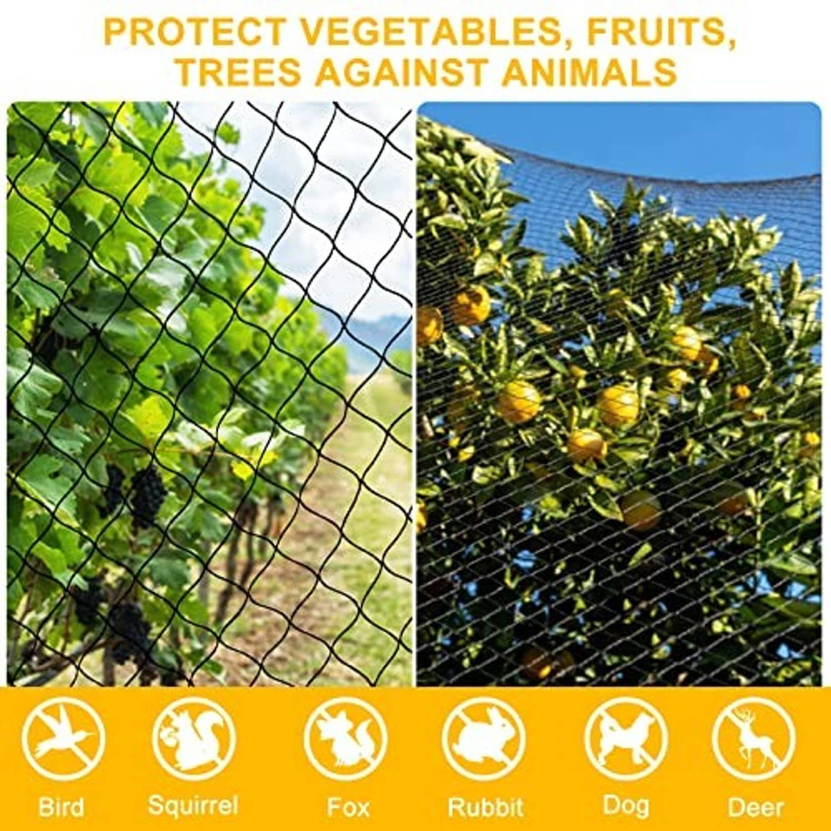 Bird netting protecting trees and fruits, with animal protection icons