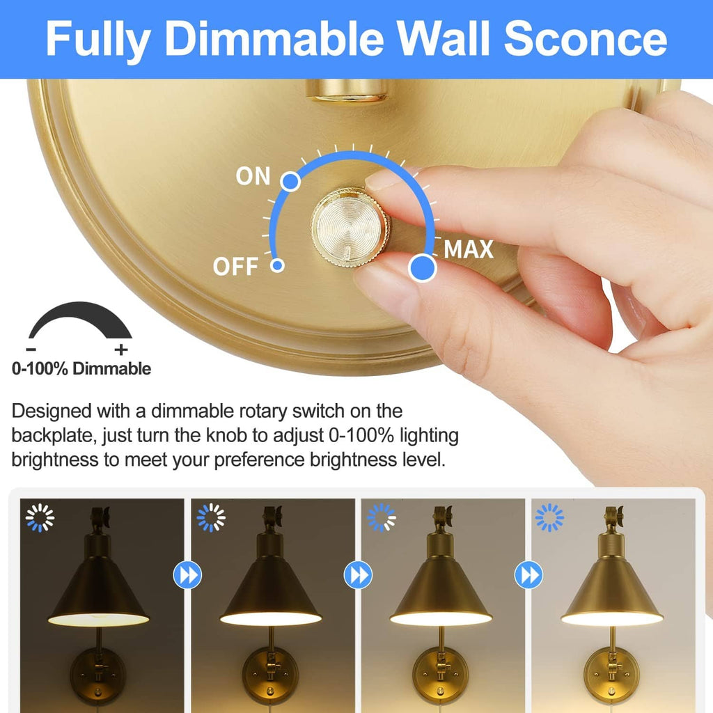 Brushed brass wall sconce dimmer rotary switch on backplate with pointer indicator