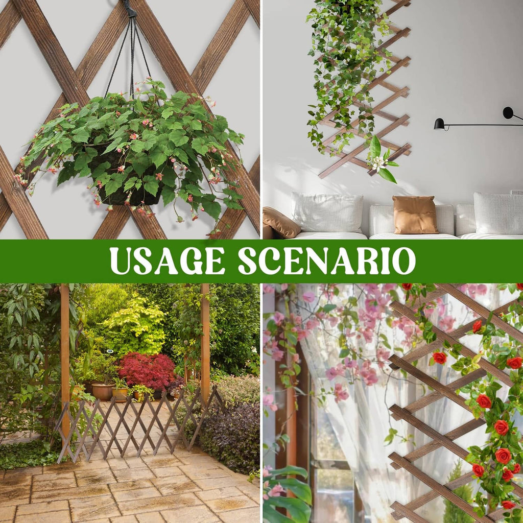 Wood lattice fence panel trellis with plants used in an outdoor patio
