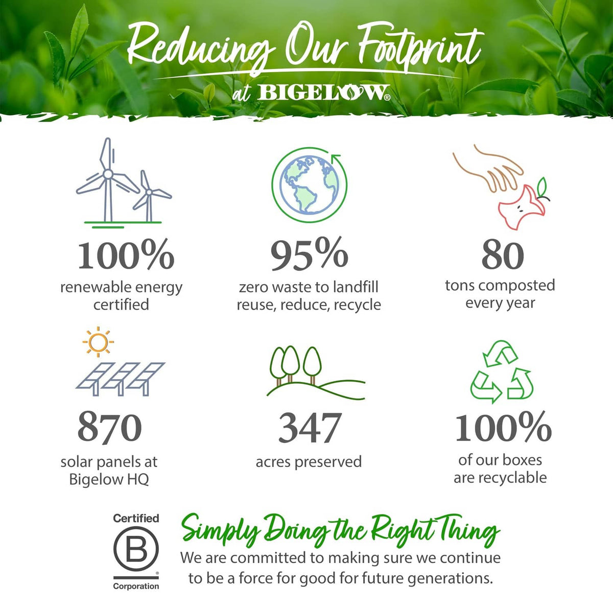 Reducing our footprint sustainability infographic at Bigelow with icons