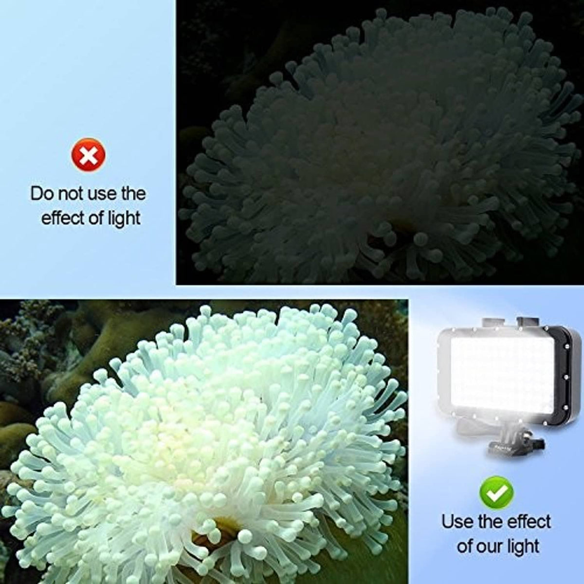 Compact LED dive light with protective housing and front light panel