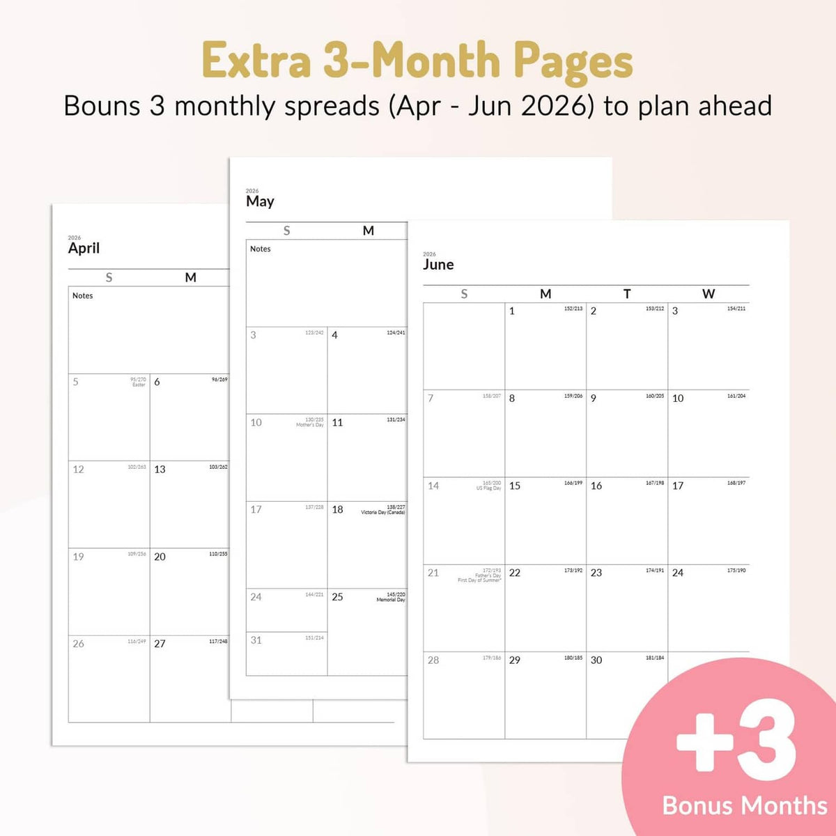 Academic planner extra 3-month calendar pages layout with monthly grids