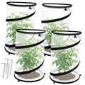 Round collapsible plant cover with black rim and clear insect net over potted seedlings