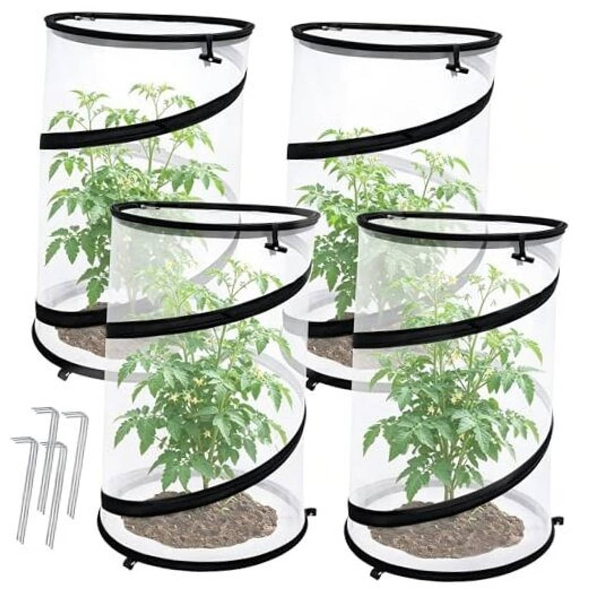 Round collapsible plant cover with black rim and clear insect net over potted seedlings