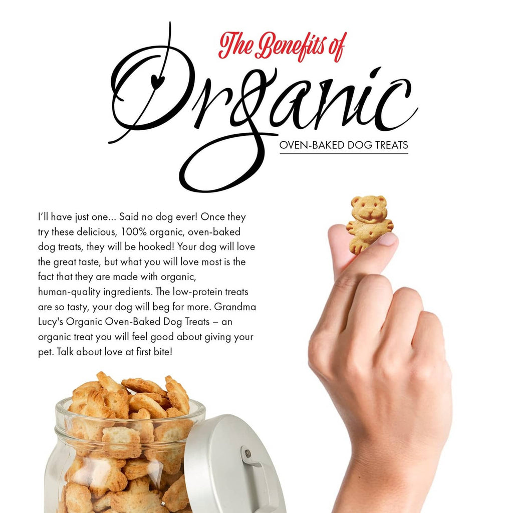 Organic oven-baked dog treat held by hand beside bowl of baked treats