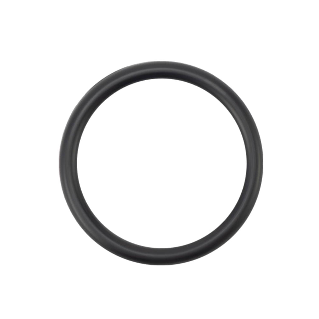 Black circular O-ring seal
