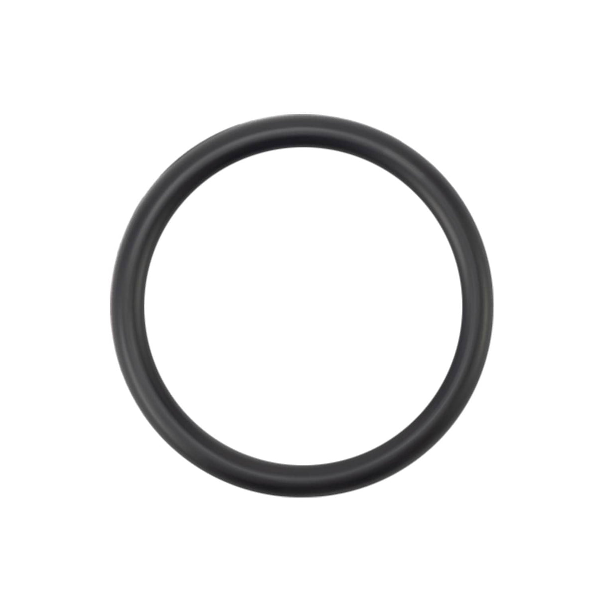 Black circular O-ring seal