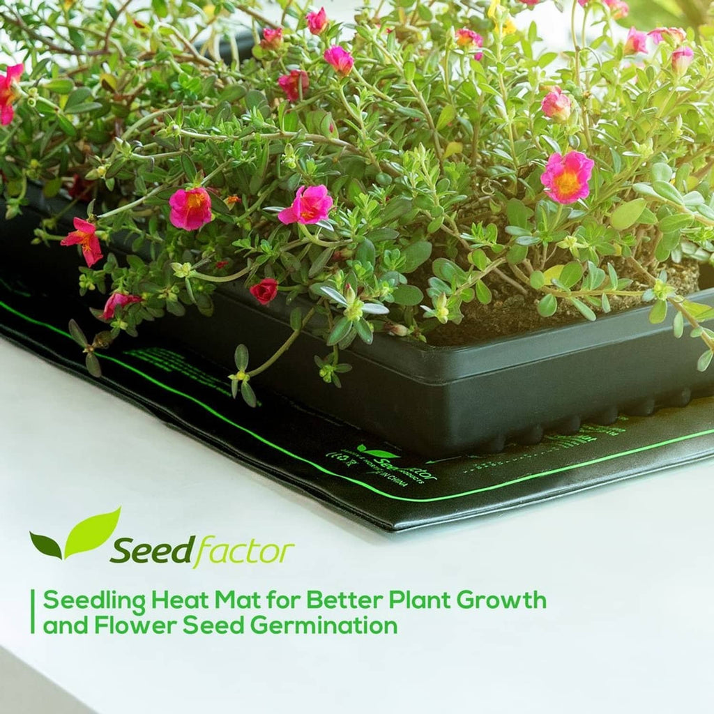 Seedling heat mat under a tray of green seedlings with pink blossoms