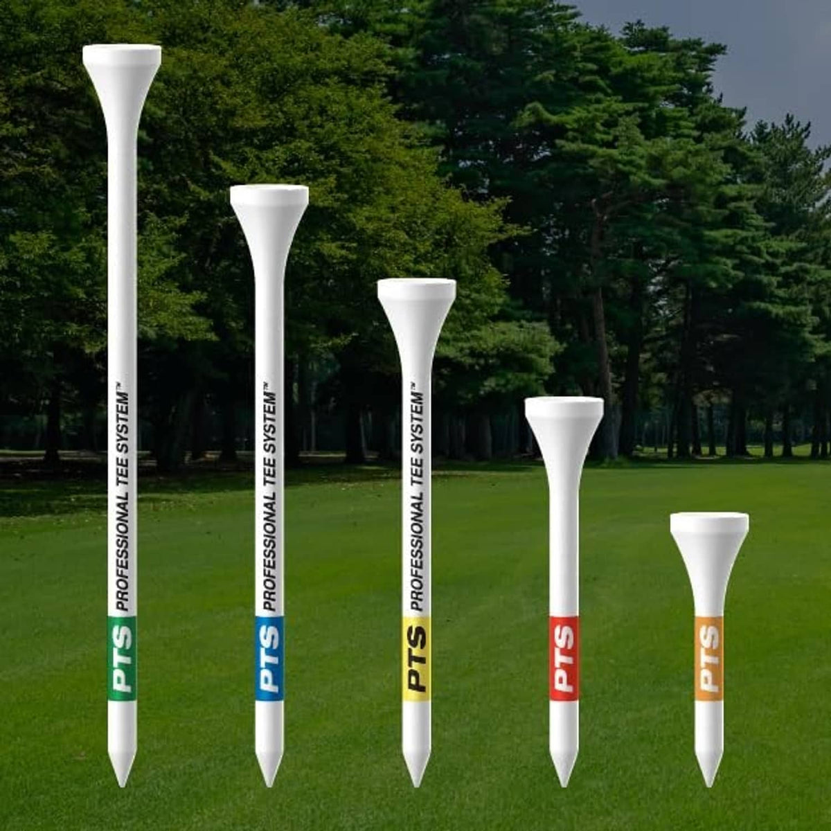 Assorted white wood golf tees displayed on a golf course