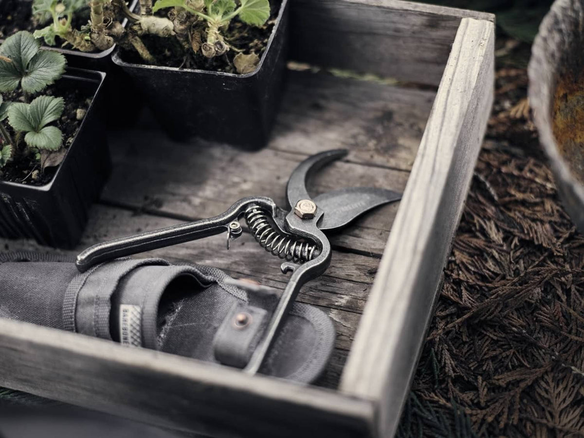 Japanese garden shears with black sheath lying in a planter, blades closed