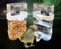 Clear automatic bird waterer with white bracket, two-cup set for cage mounting