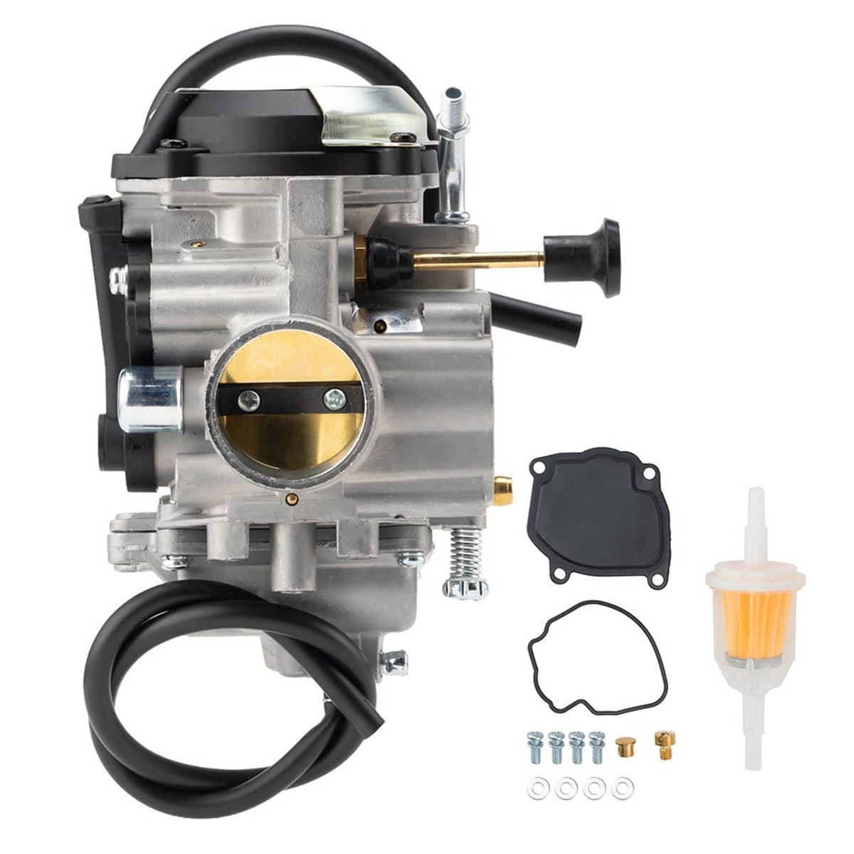 Carburetor with fuel filter and rubber gasket set with screws and fittings