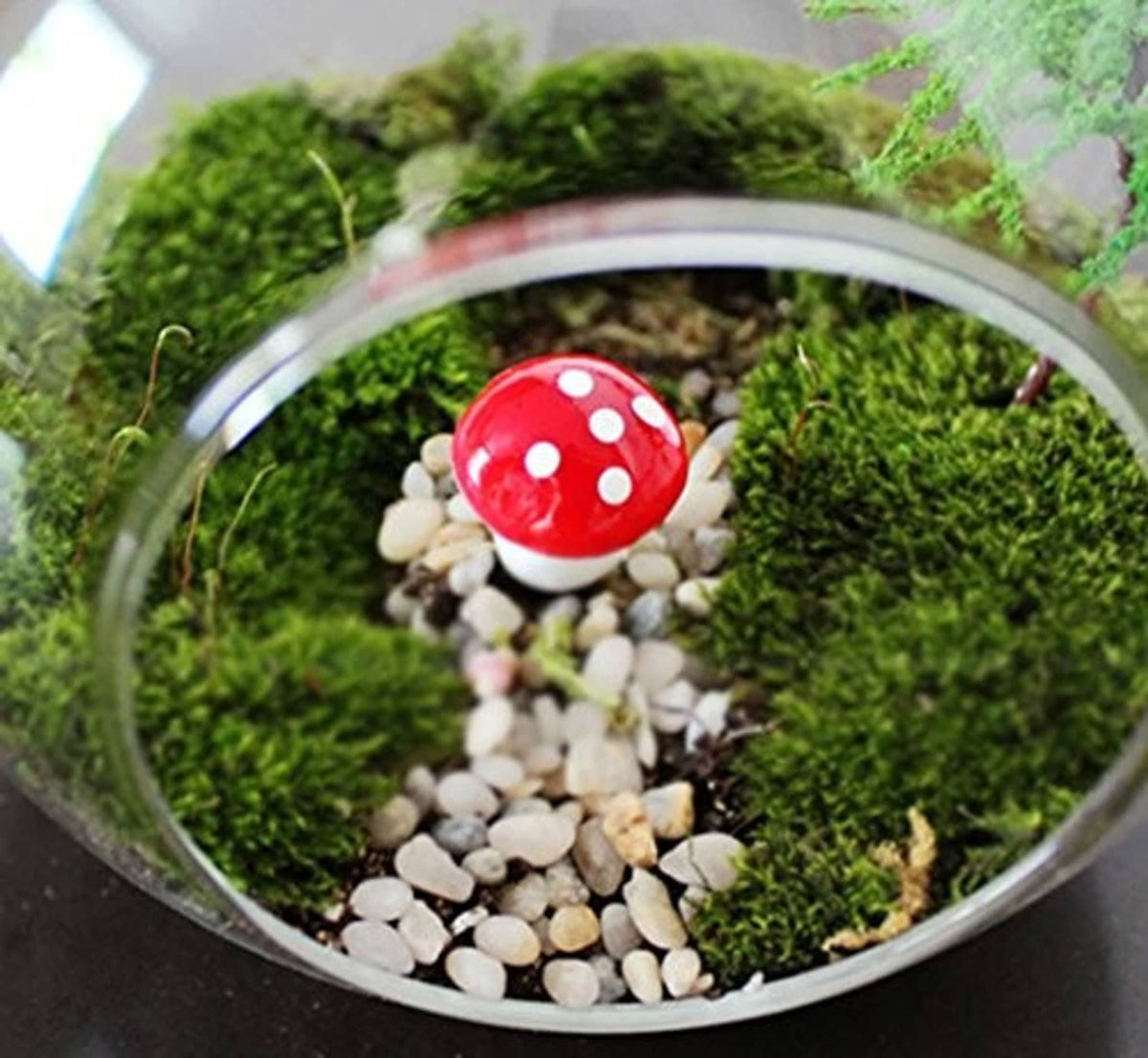 Red foam mushroom ornament with white spots on green stem in mossy terrarium