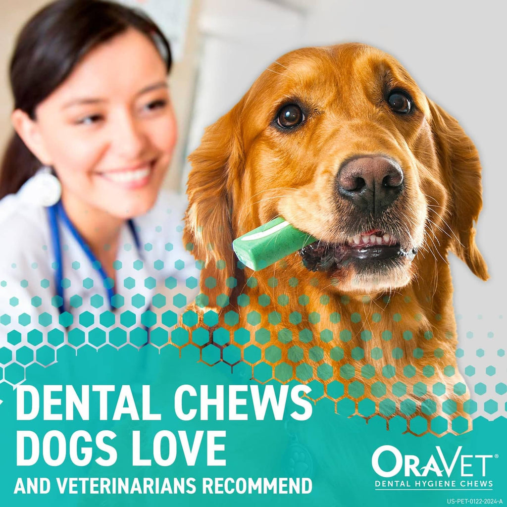 Golden retriever wearing a green dental chew in its mouth, with a mint-green chew visible