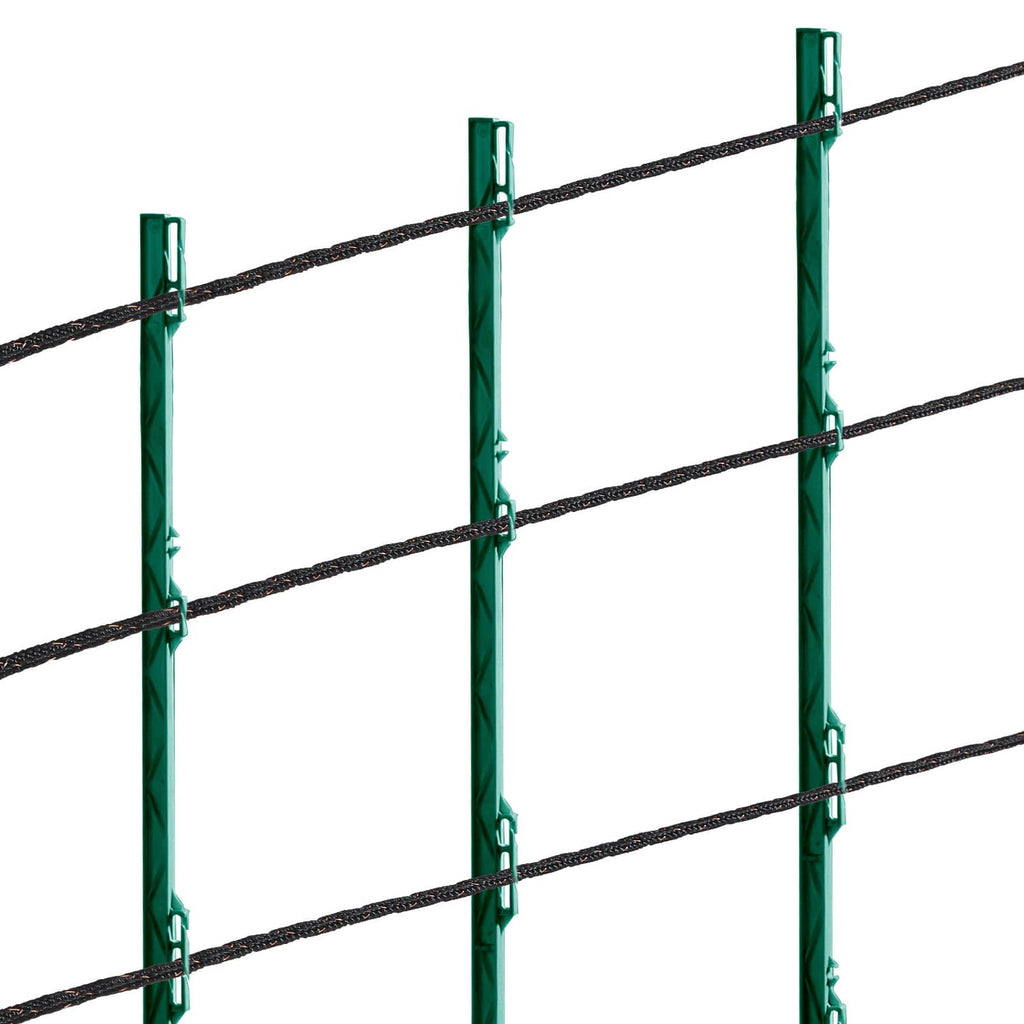 Electric fence wire secured to green posts with black twisted strands