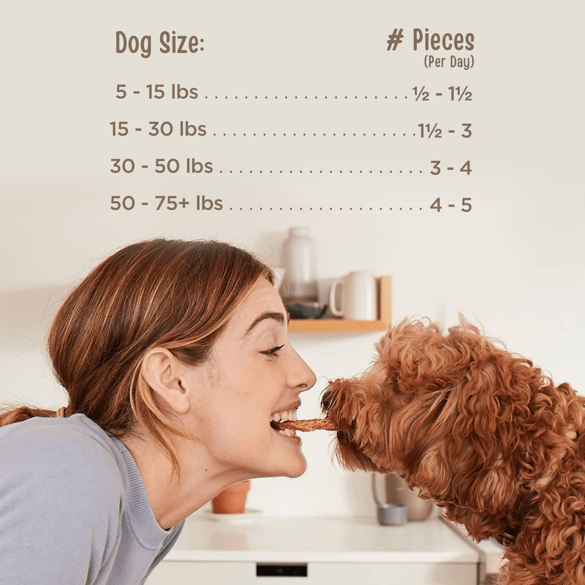 Beef jerky dog treats: person feeding a small dog from their hand