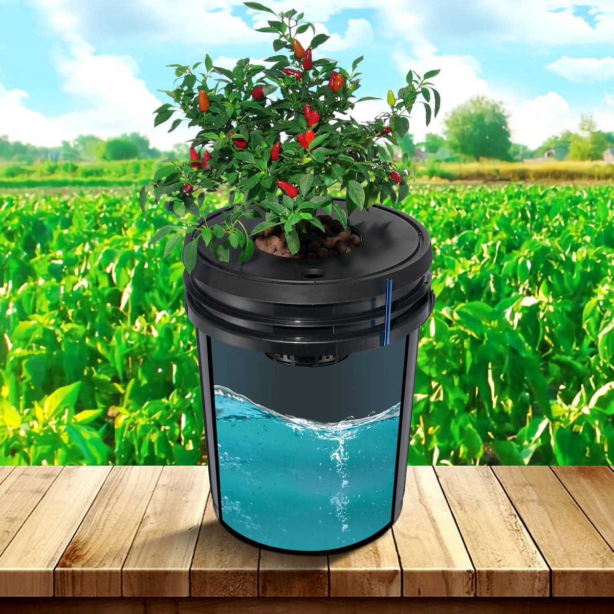 Deep water culture hydroponic bucket with blue water and plants on top lid