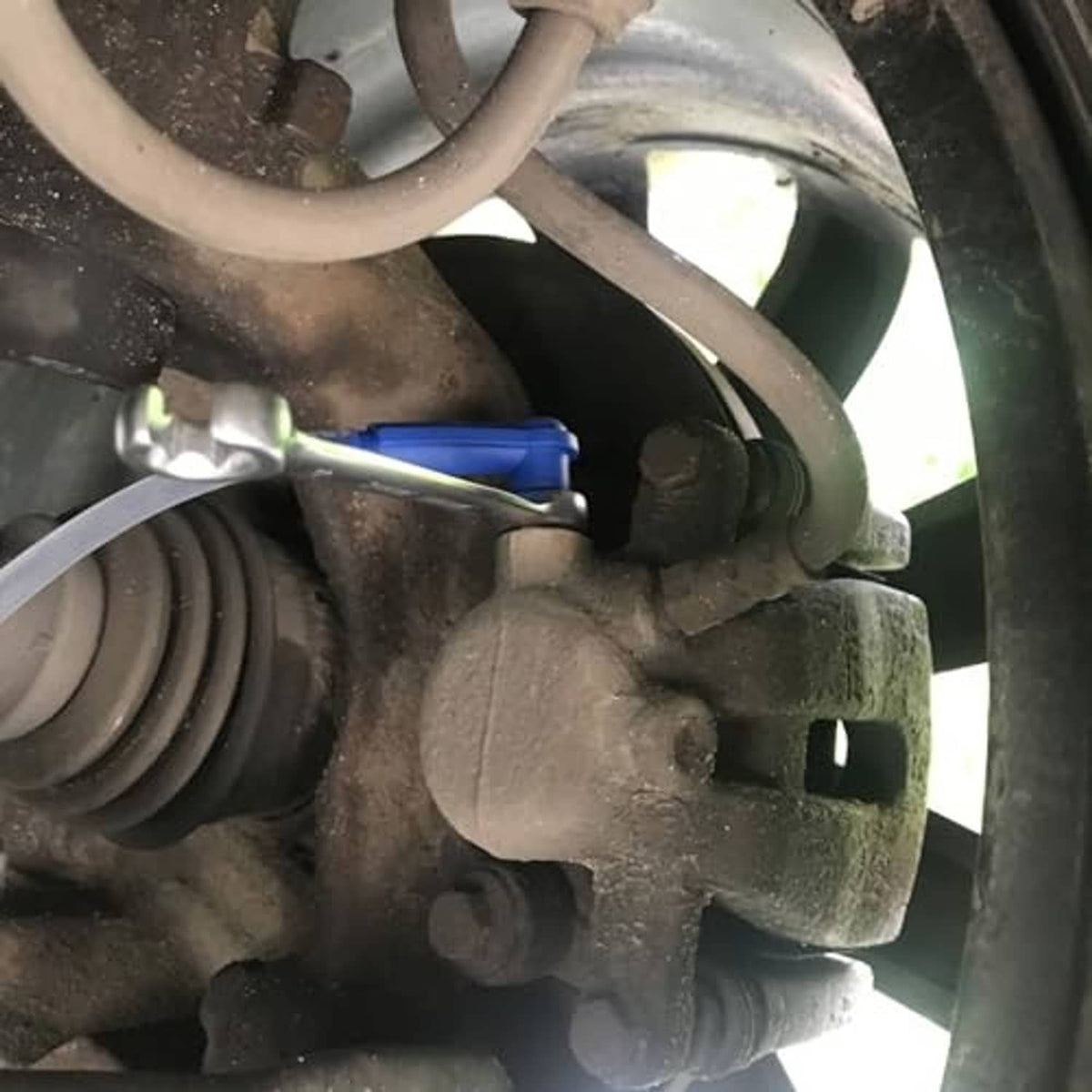 Brake bleeder kit with blue clamp attached to brake fitting and clear hose