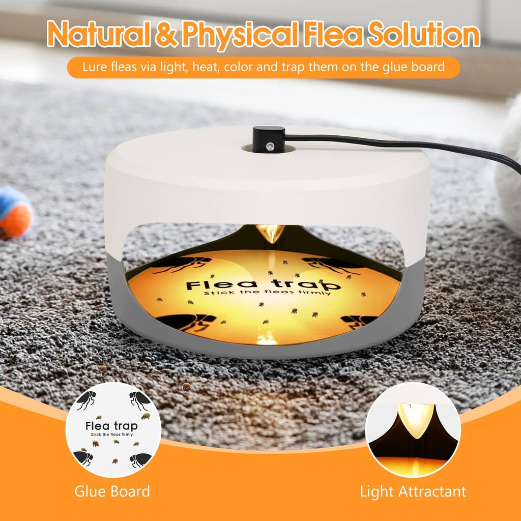 Flea trap glue board with amber light attractant and round replacement pad