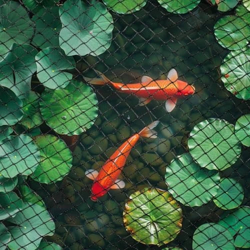 Dark garden netting mesh covering koi fish, tightly woven square grid.