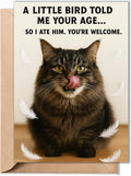 Funny birthday card with brown tabby cat, feathers, and message text