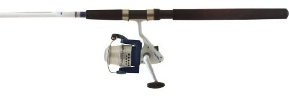 Fishing rod and spinning reel combo with white/blue reel and dark rod handle