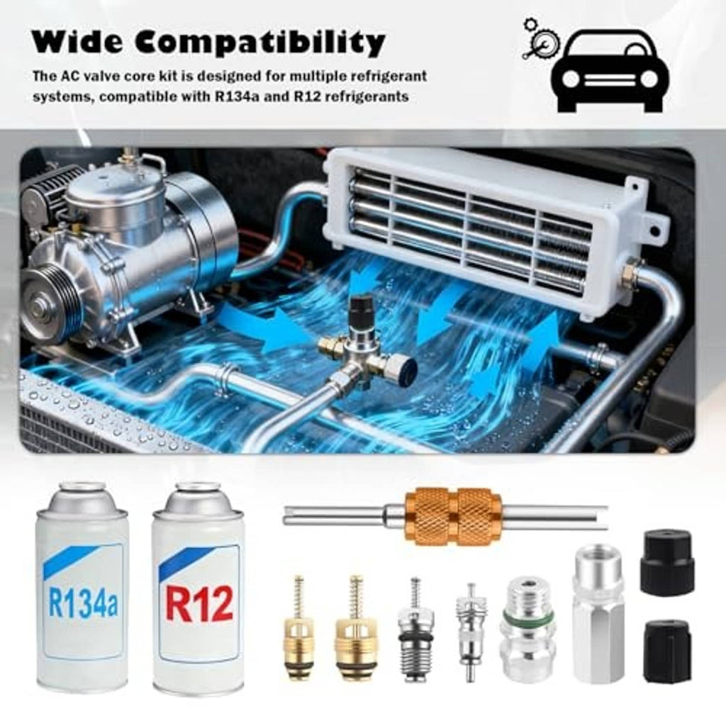 AC valve core kit with valve cores and tools next to R134a and R12 canisters