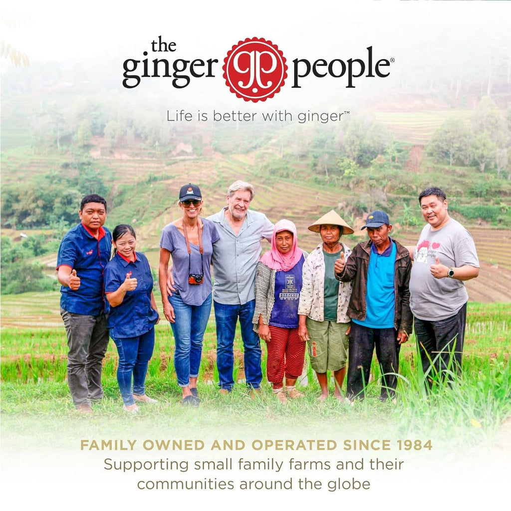 the ginger people promotional poster with a family walking outdoors in green fields
