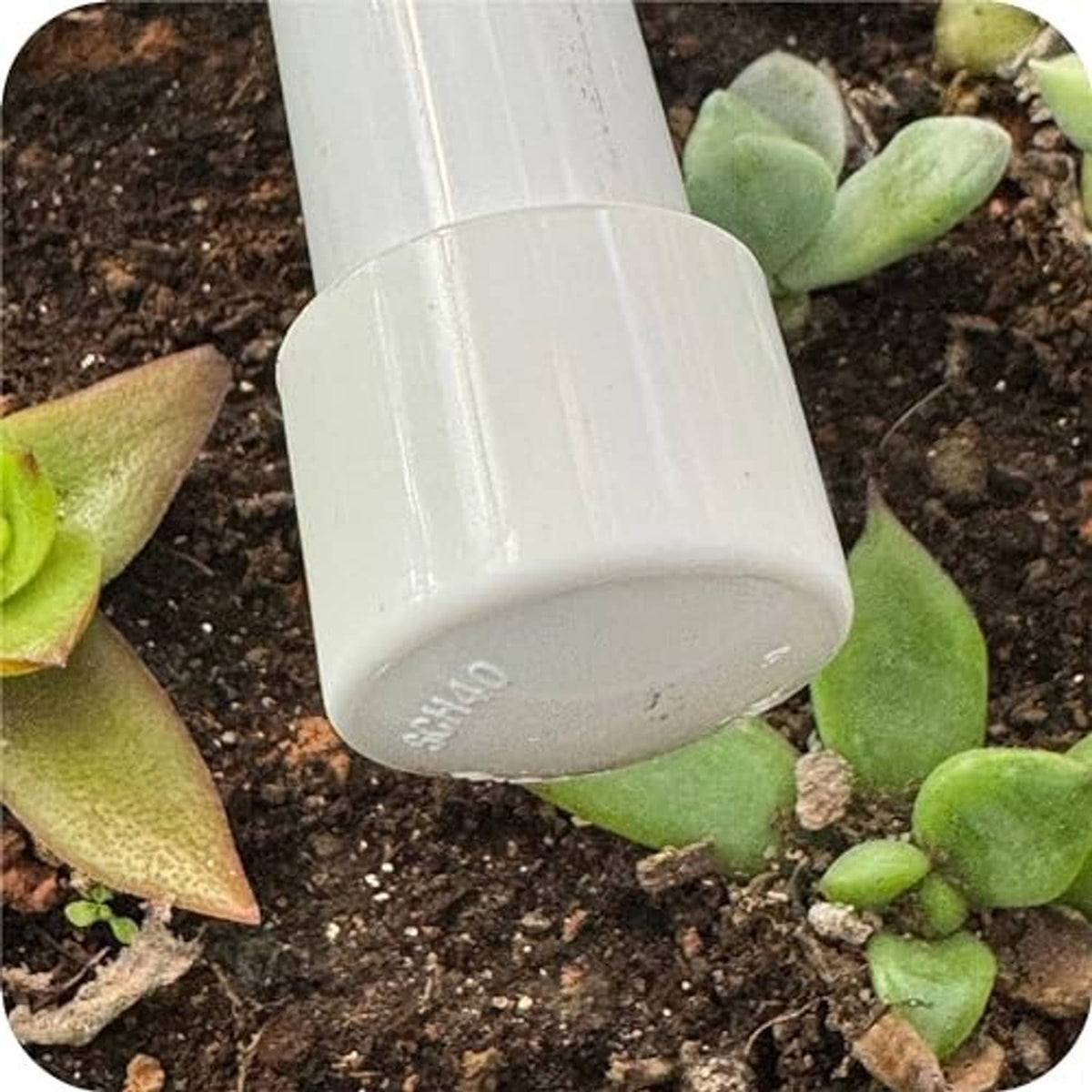 White PVC schedule 40 end cap on pipe end, close-up outdoors