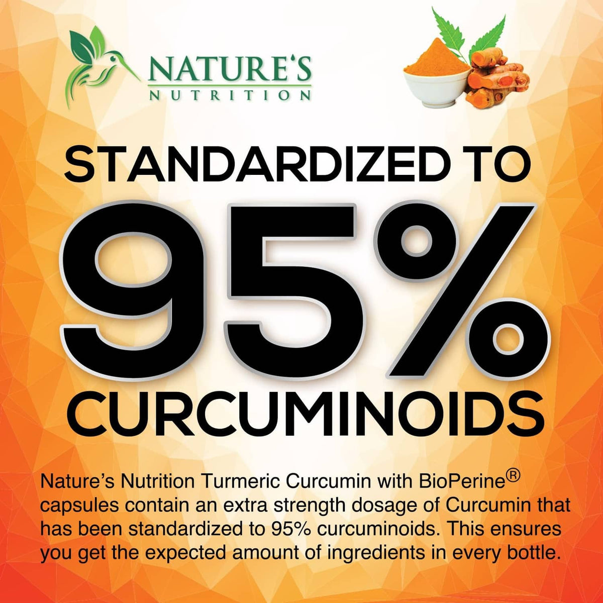 Turmeric curcumin supplement label: 95% curcuminoids