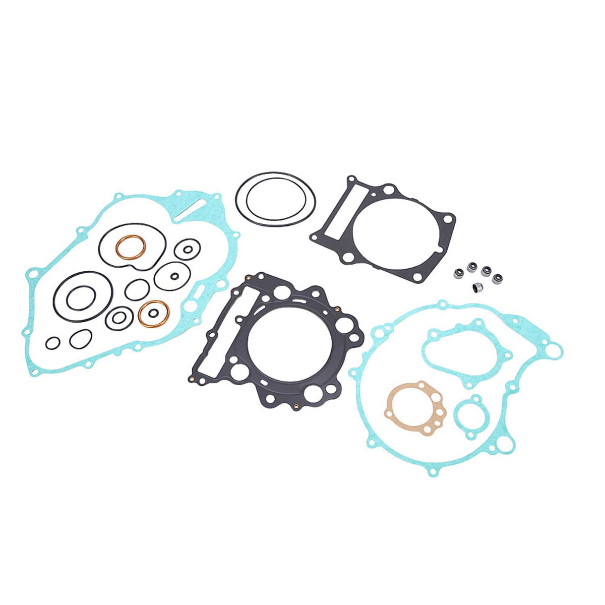 Engine gasket kit with blue sealing gaskets, black plates, and small metal rings