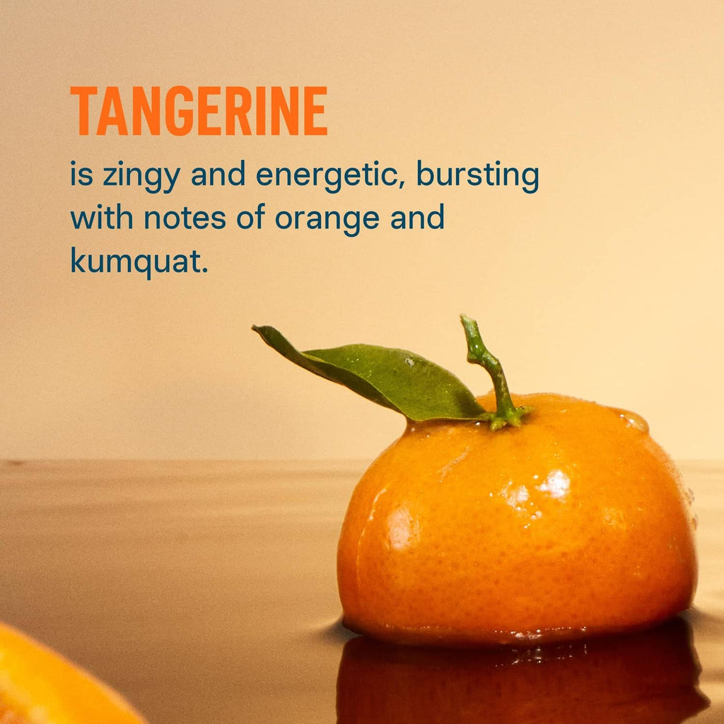 Tangerine electrolyte drink mix with orange fruit illustration