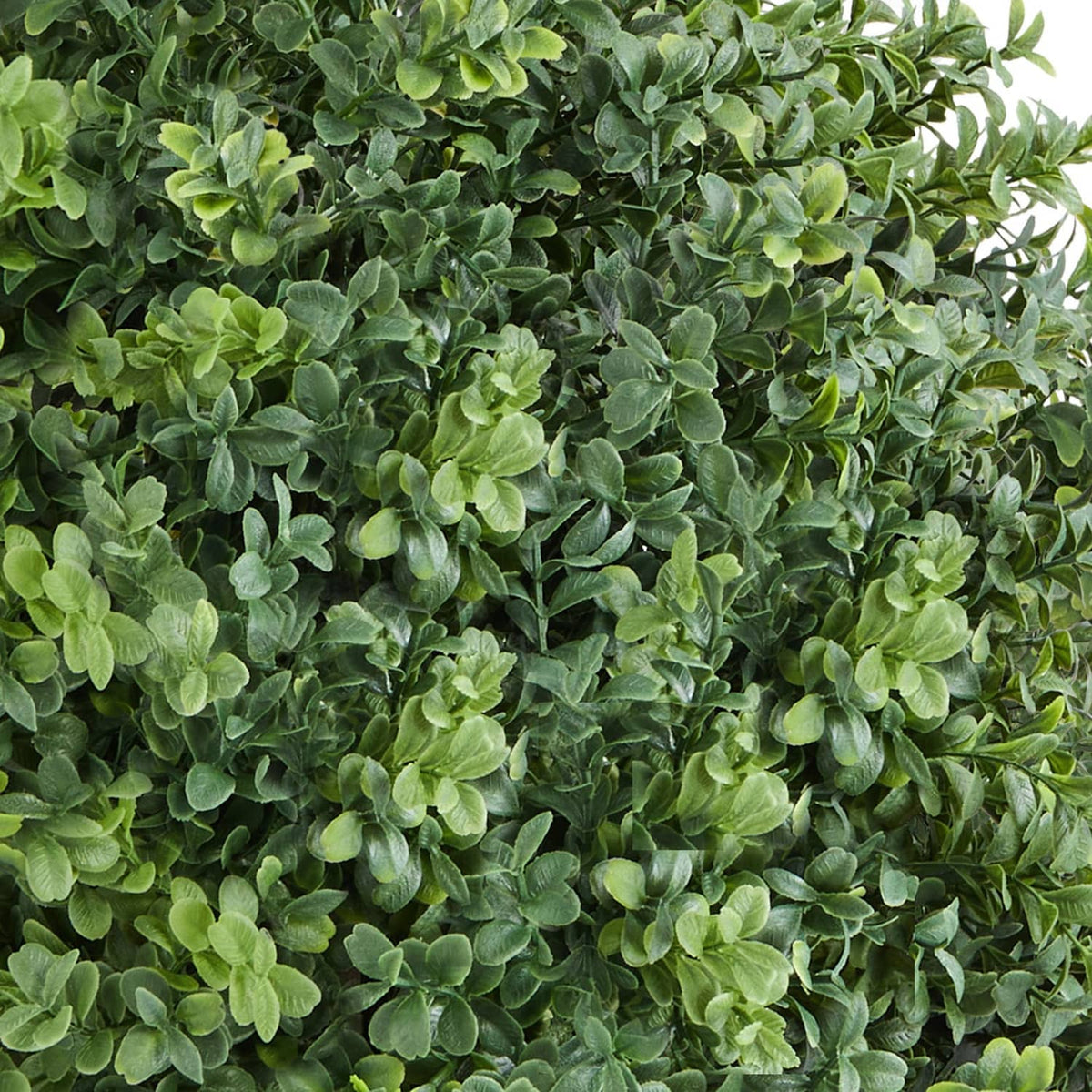 Artificial boxwood topiary shrub with dense green leaf clusters