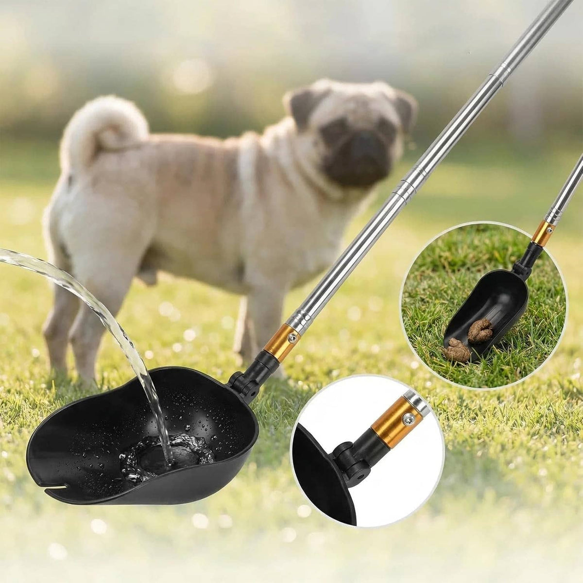 Telescopic urine collector scoop with funnel spout and two leak-proof collection cups