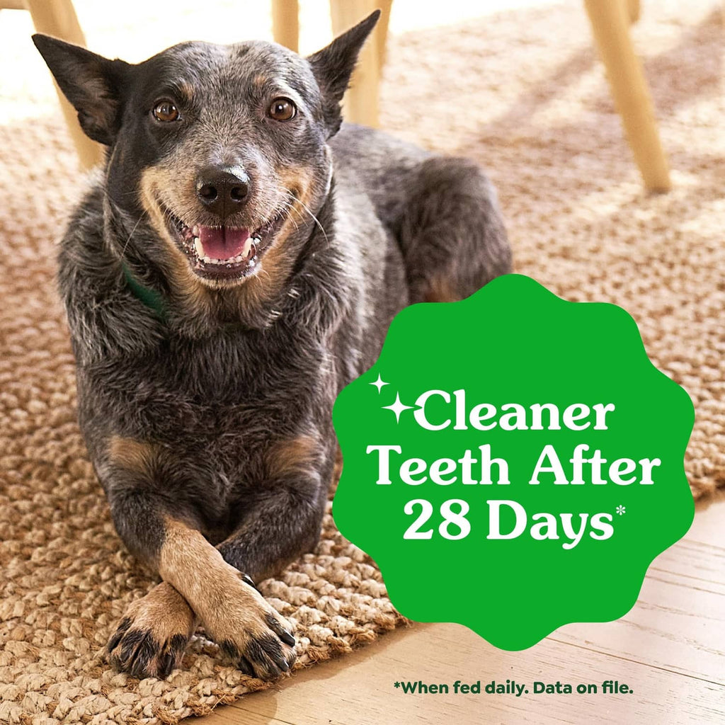 Dog lying down with mouth open, dental care promotion badge