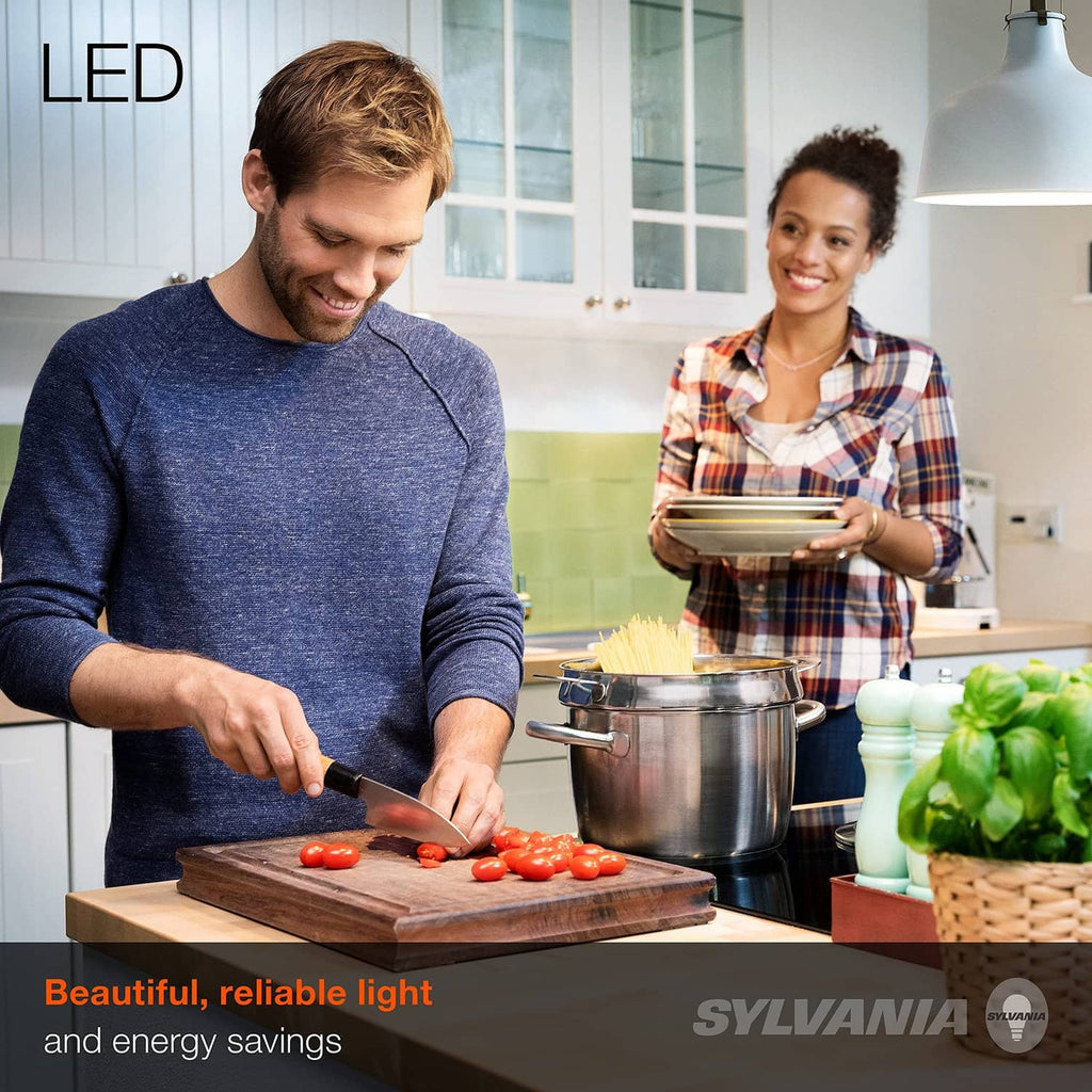 A19 LED light bulb with frosted white glass and medium base