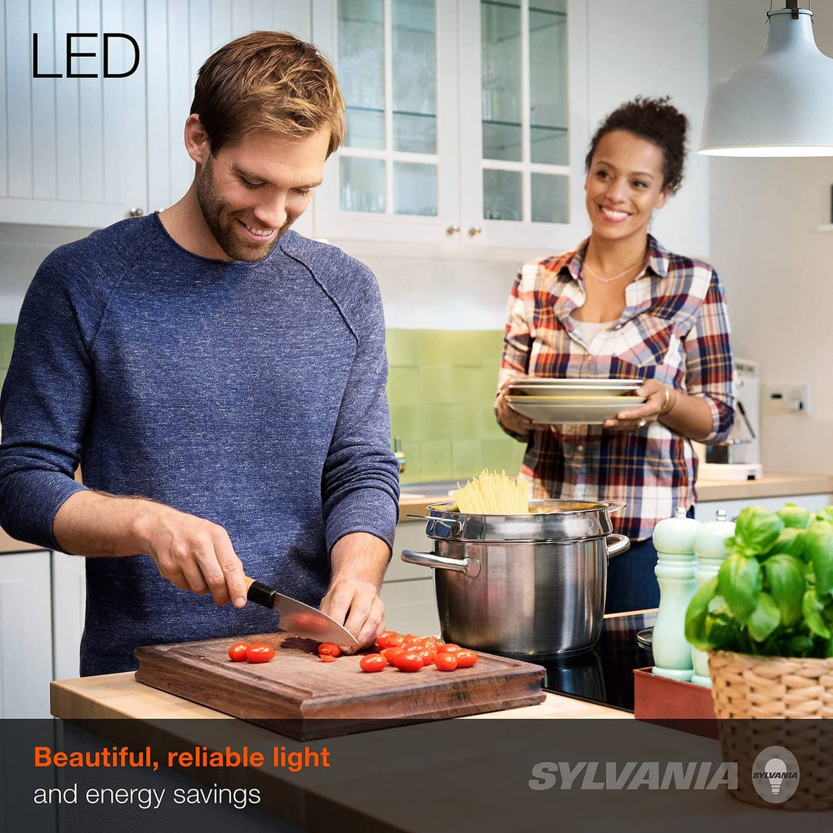A19 LED light bulb with frosted white glass and medium base