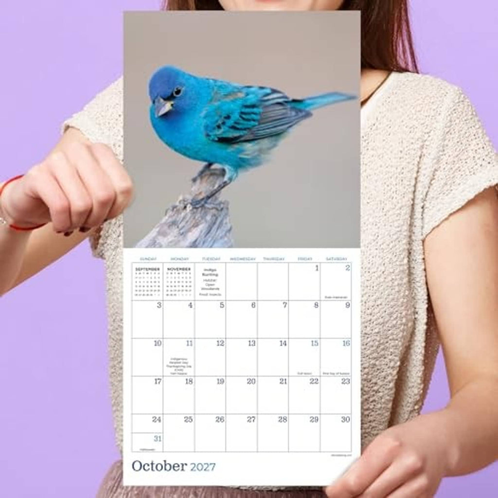 Backyard Birds 2027 mini calendar page for October 2027 with blue bird, held by hands