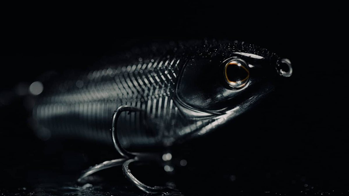 Close-up of black-blue topwater lure with orange-ring eye