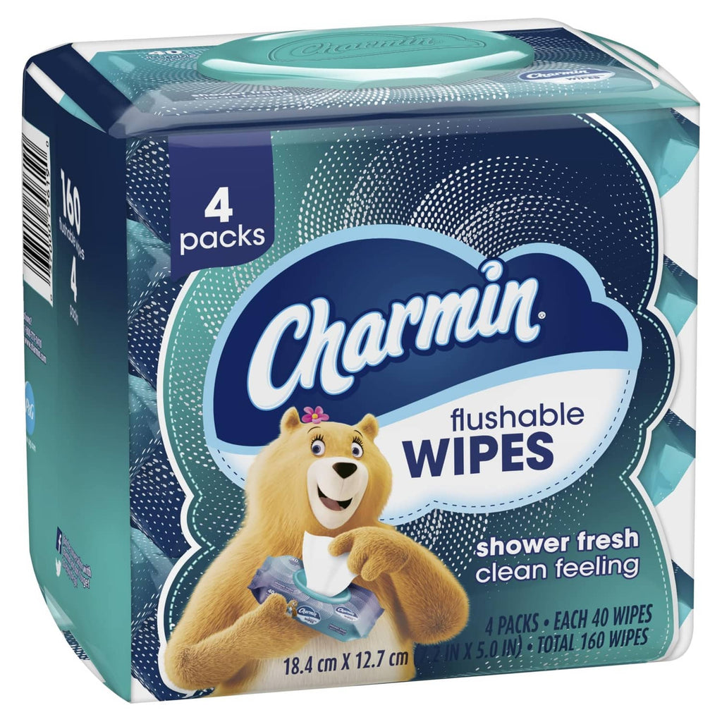 Charmin flushable wipes box, teal and blue front view with bear and wipe icon