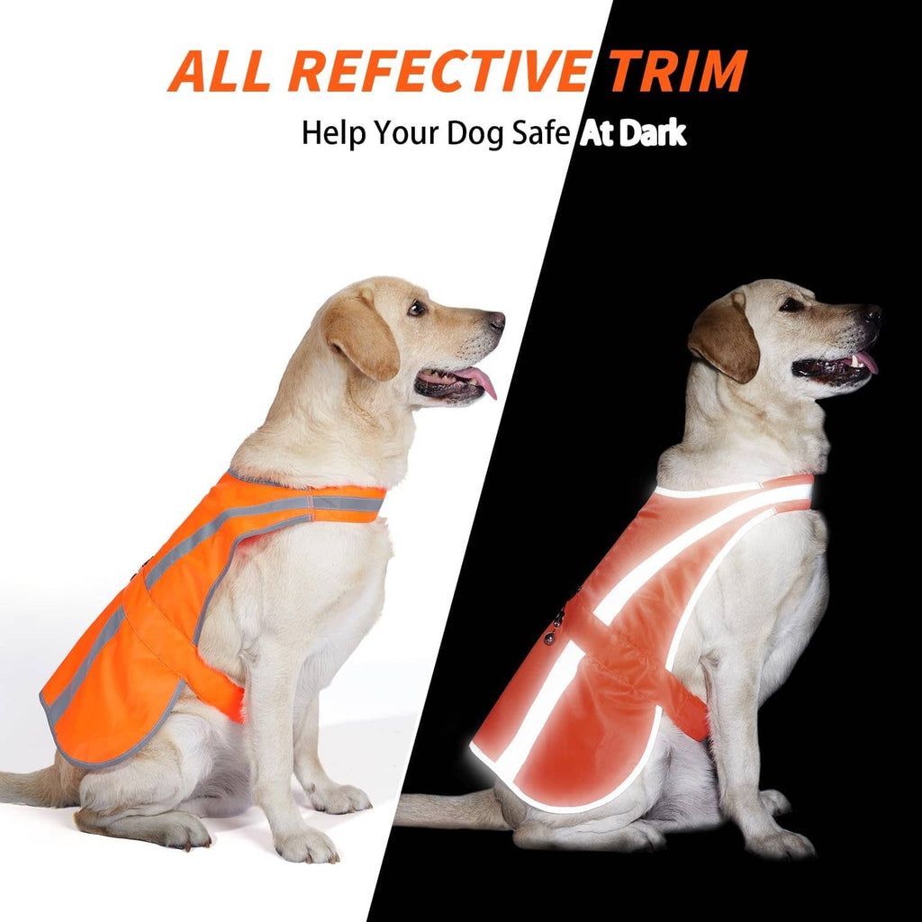 Orange reflective dog vest with bright silver striping on seated dog
