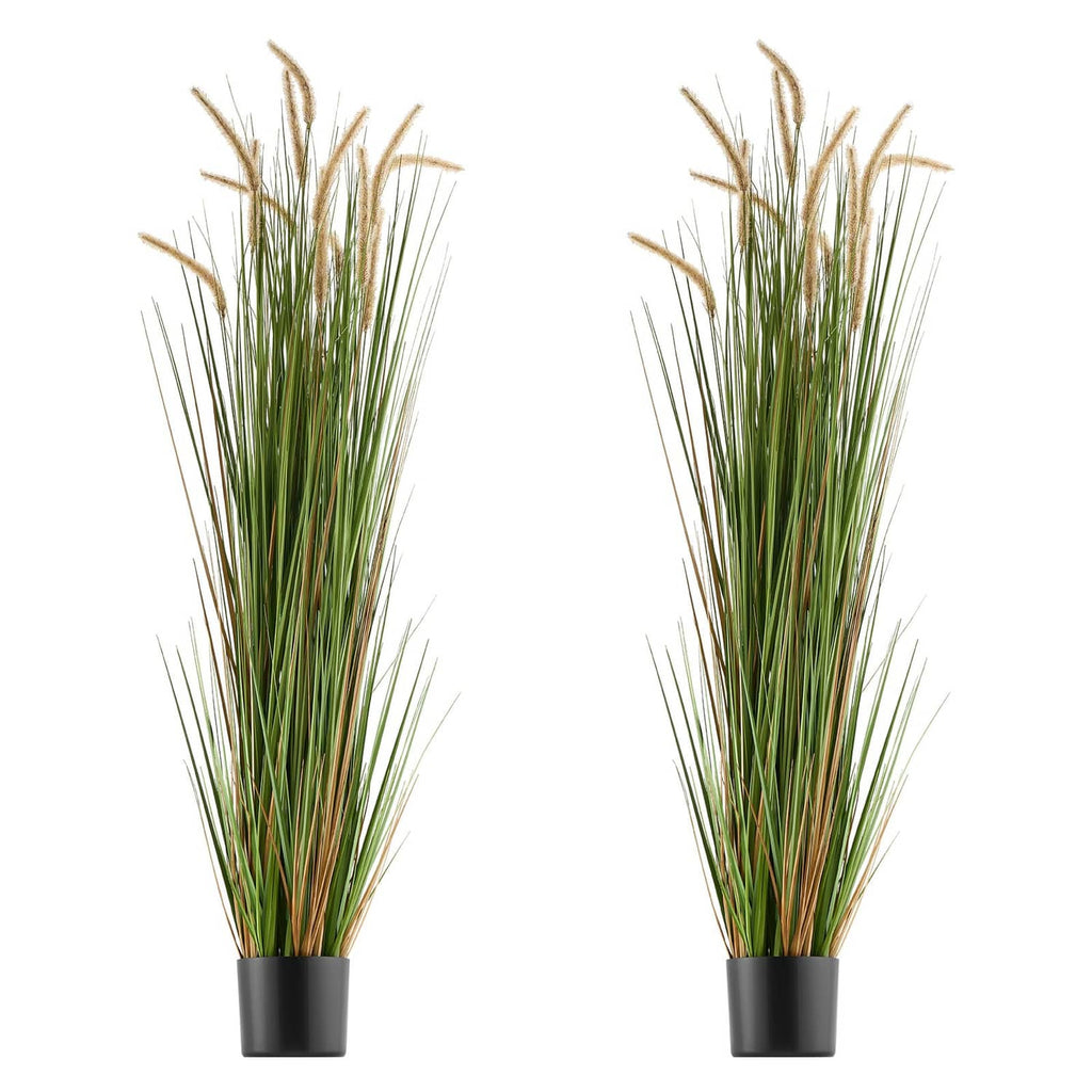 Two artificial horsetail grass plants in black plastic pots, green blades with tan plumes
