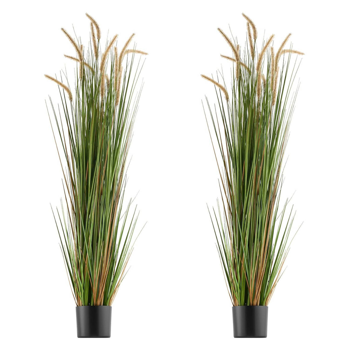 Two artificial horsetail grass plants in black plastic pots, green blades with tan plumes
