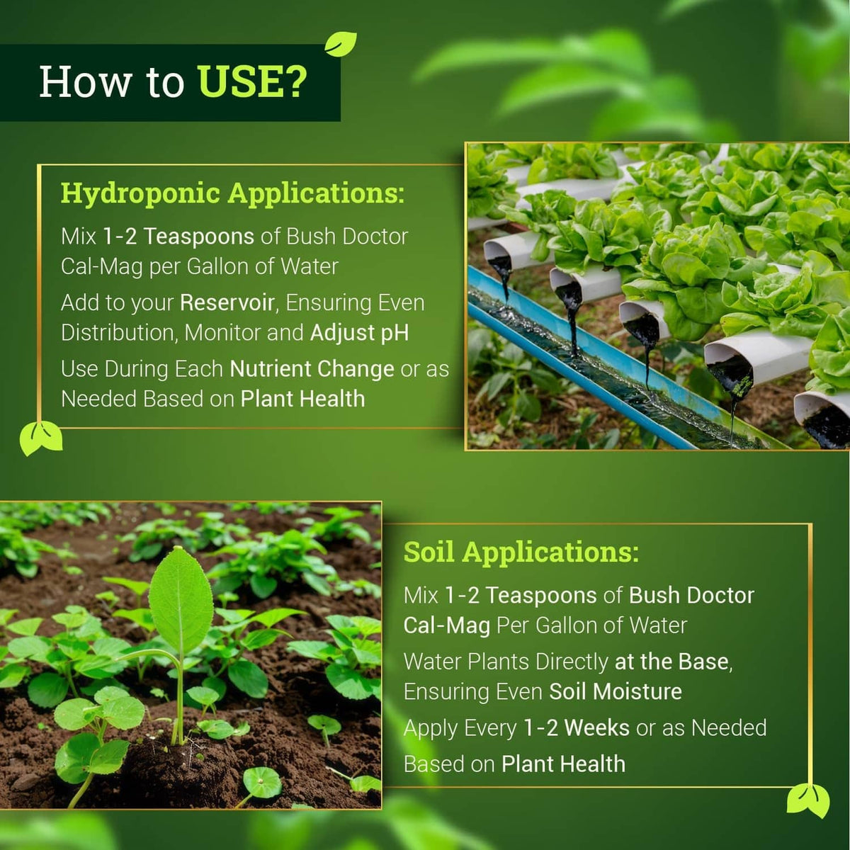 How-to-use infographic for calcium and magnesium supplement, hydroponic and soil steps