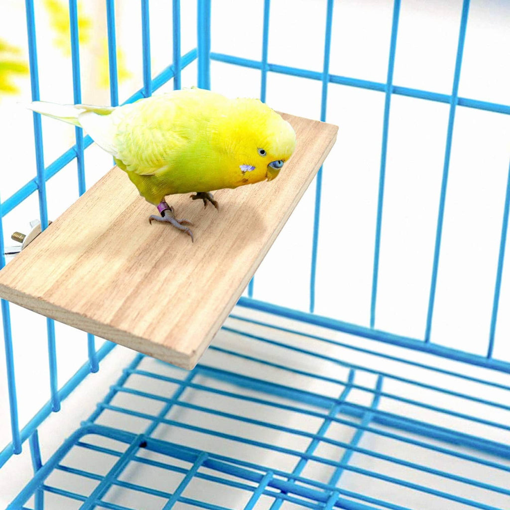 Natural wood bird perch platform with budgies sitting on the board