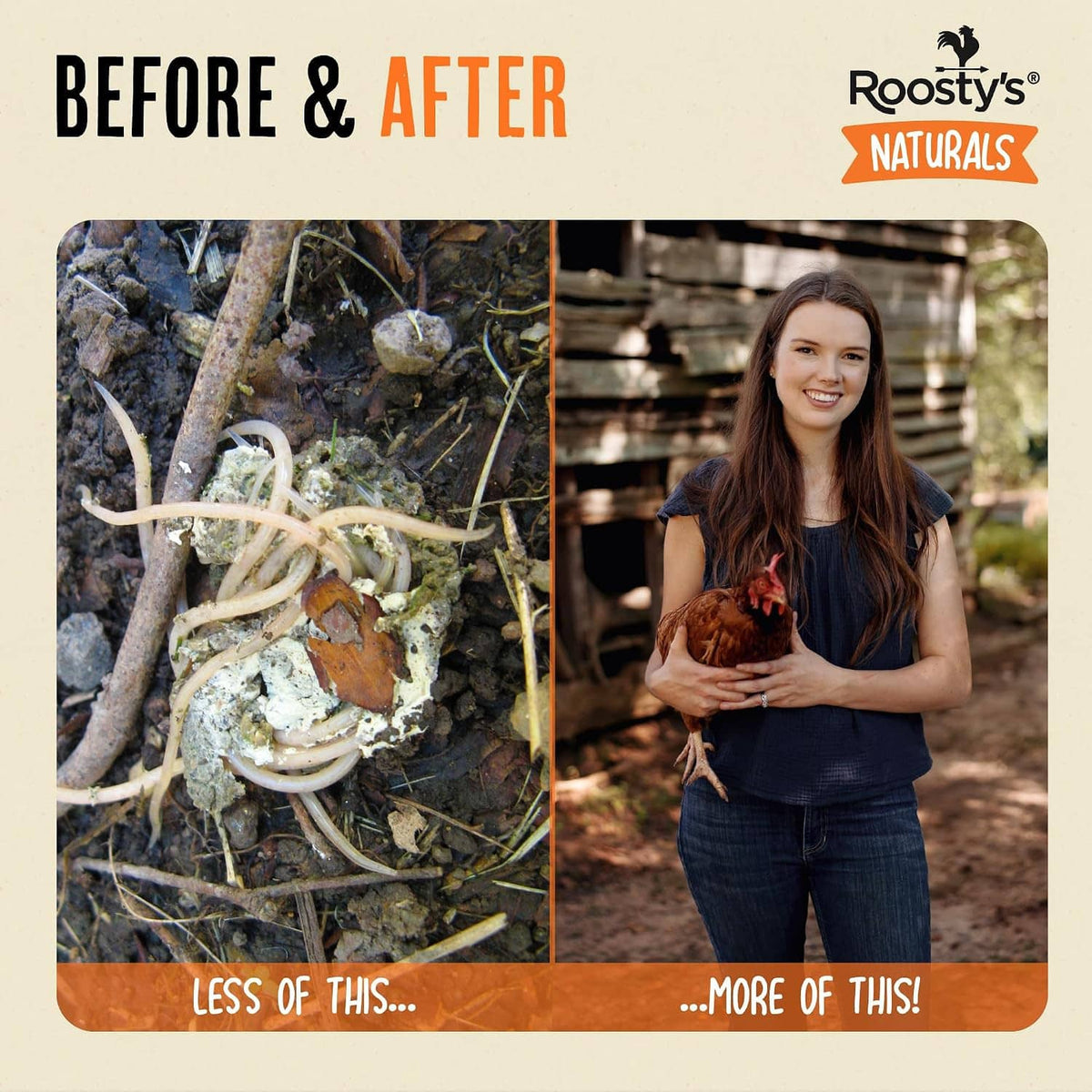 Before and after worms graphic with Roosty's Naturals dewormer pouch and chicken