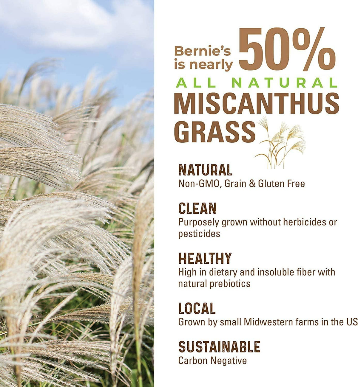 All-natural miscanthus grass ingredient panel for Bernie's dog digestion supplement