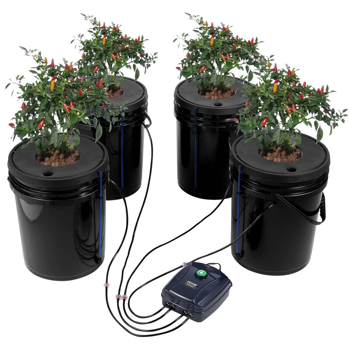 Four black DWC hydroponic buckets with leafy plants growing from net cups